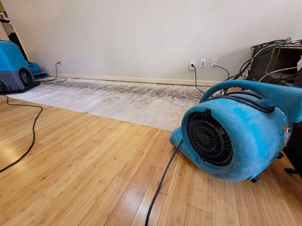 Professional Emergency Water Damage technician working in Hermosa Beach, CA